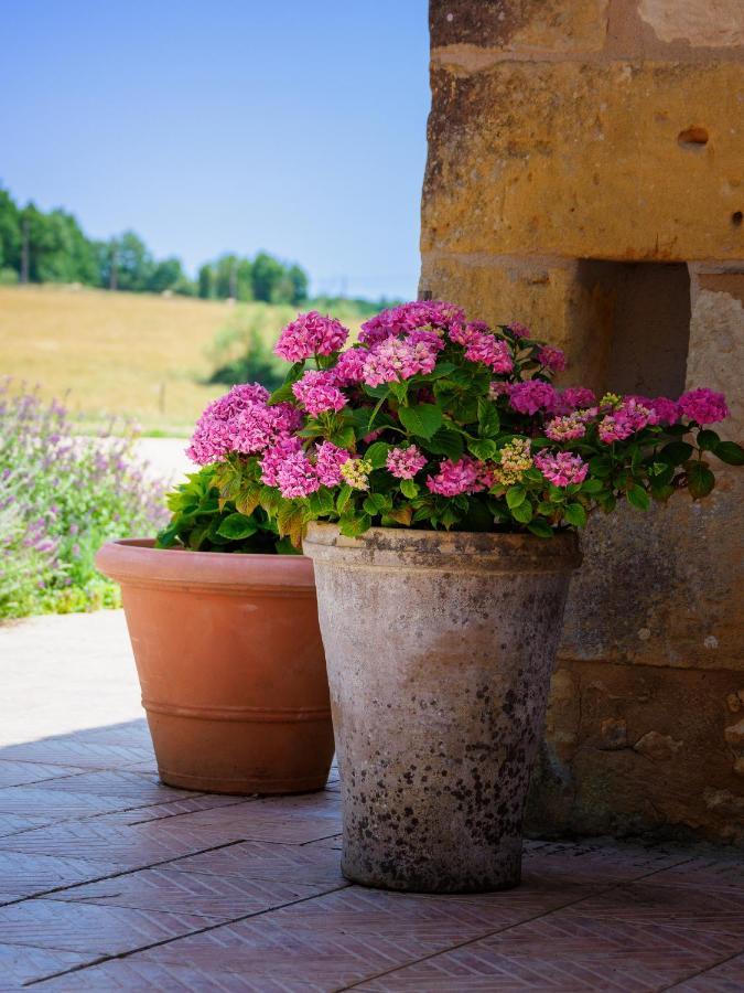 Vila Le Nid De Faucons Lalinde Exteriér fotografie